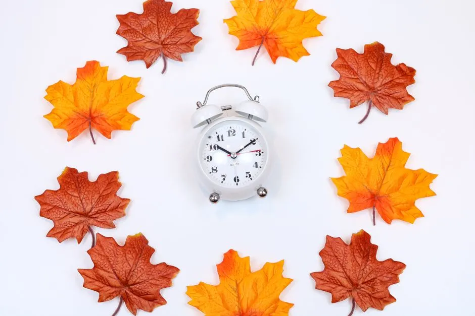 A white alarm clock sitting beside autumn maple leaves